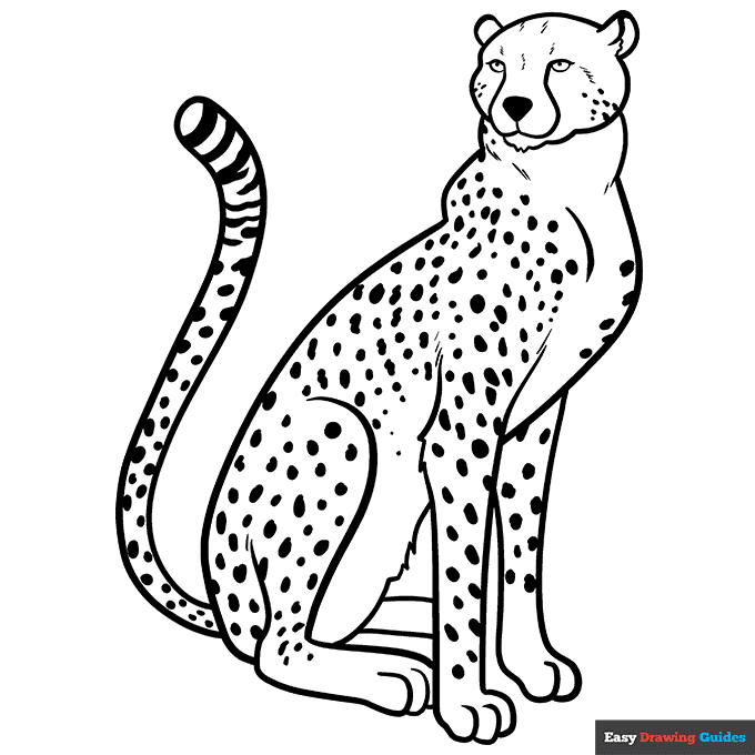 Cheetah coloring page easy drawing guides
