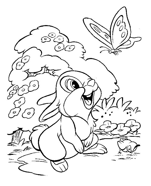 Cute bunny and butterfly coloring image