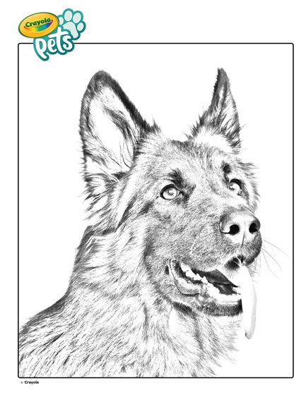 German shepherd pet dog coloring page