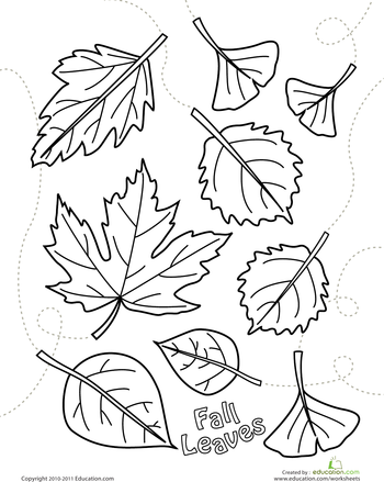 Autumn leaves coloring page worksheet education fall coloring pages leaf coloring page fall leaves coloring pages
