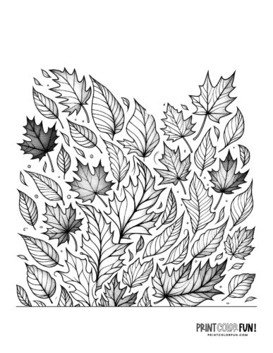 Fall leaf coloring pages with easy craft learning activities that will spark young imaginations at