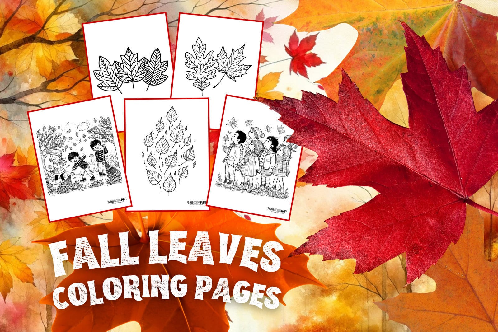 Fall leaf coloring pages with easy craft learning activities that will spark young imaginations at