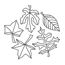 Top free printable leaf coloring pages online