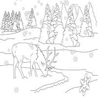Foraging elk coloring pages