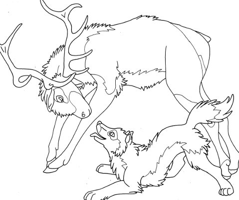 Elk wolf coloring page for adults