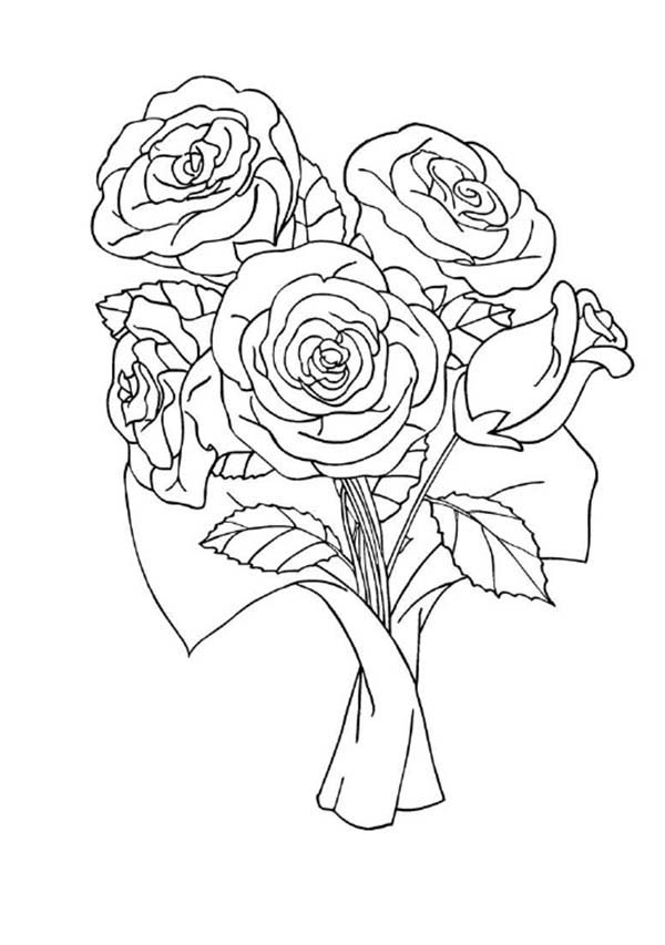 Red rose coloring page