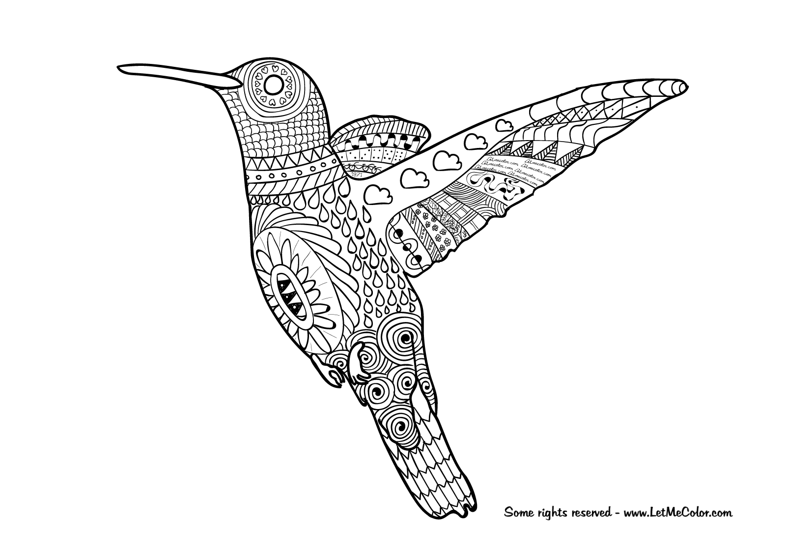 Hummingbird adult coloring page