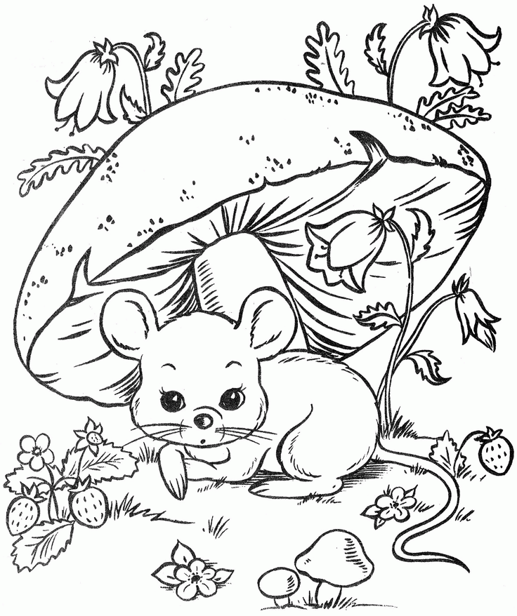 Images about coloring pages on animal coloring pages coloring pages cute coloring pages