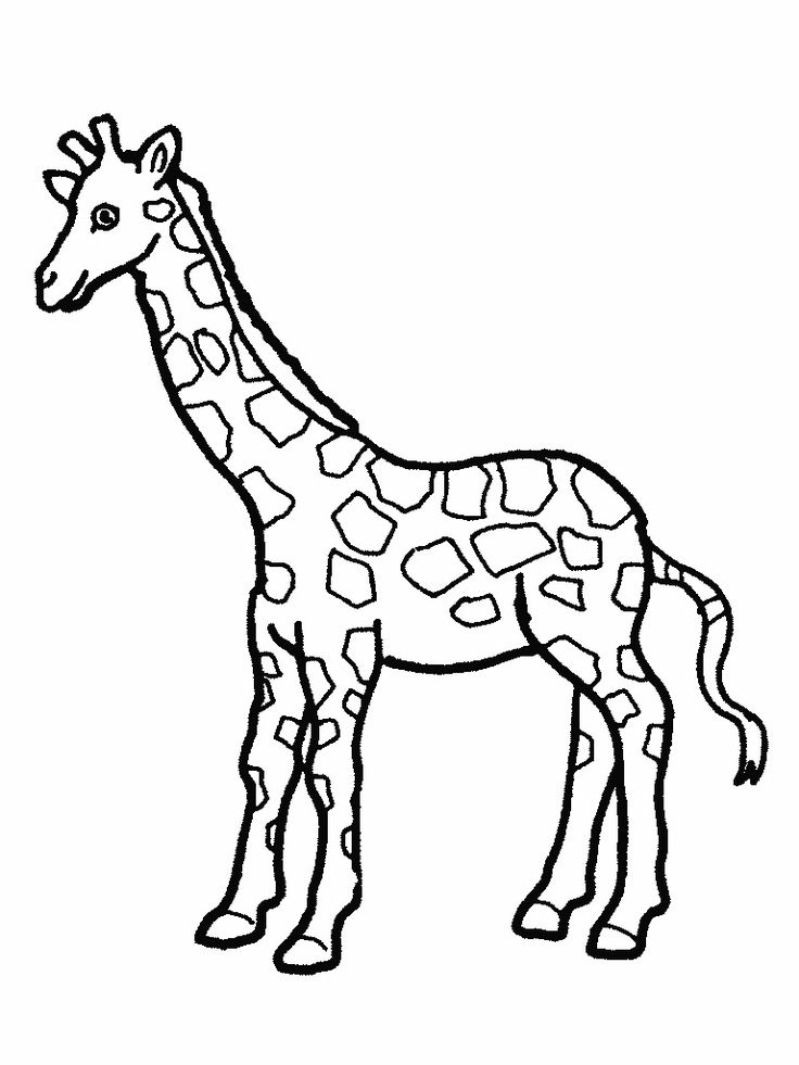 Free printable giraffe coloring pages for kids zoo animal coloring pages giraffe coloring pages animal coloring pages