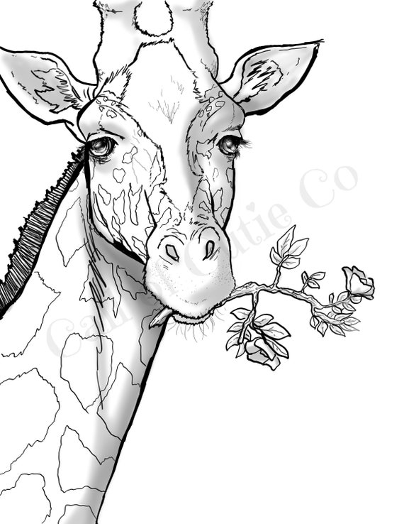 Giraffe coloring page animal coloring page