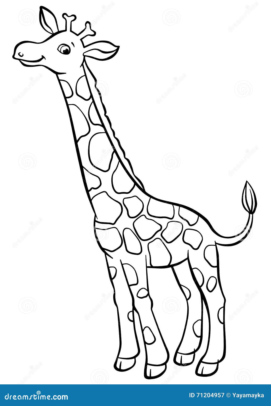 Giraffe colouring pages stock illustrations â giraffe colouring pages stock illustrations vectors clipart