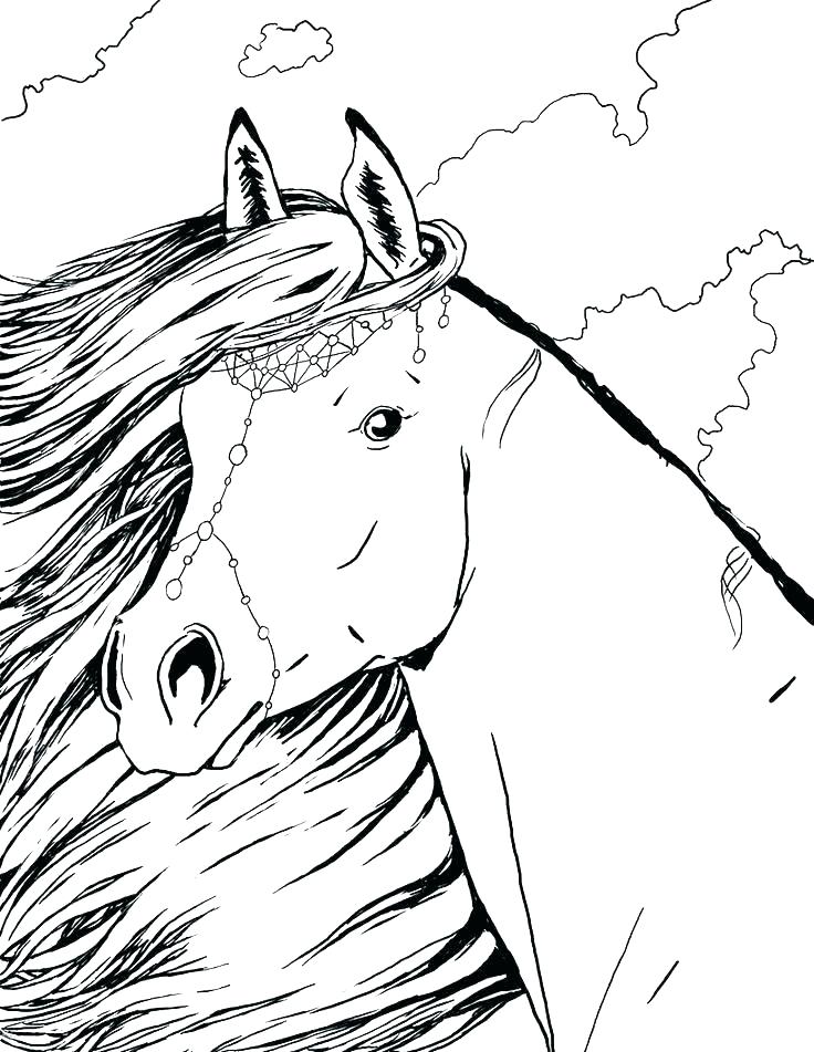 Horse coloring pages for adults made by teachers