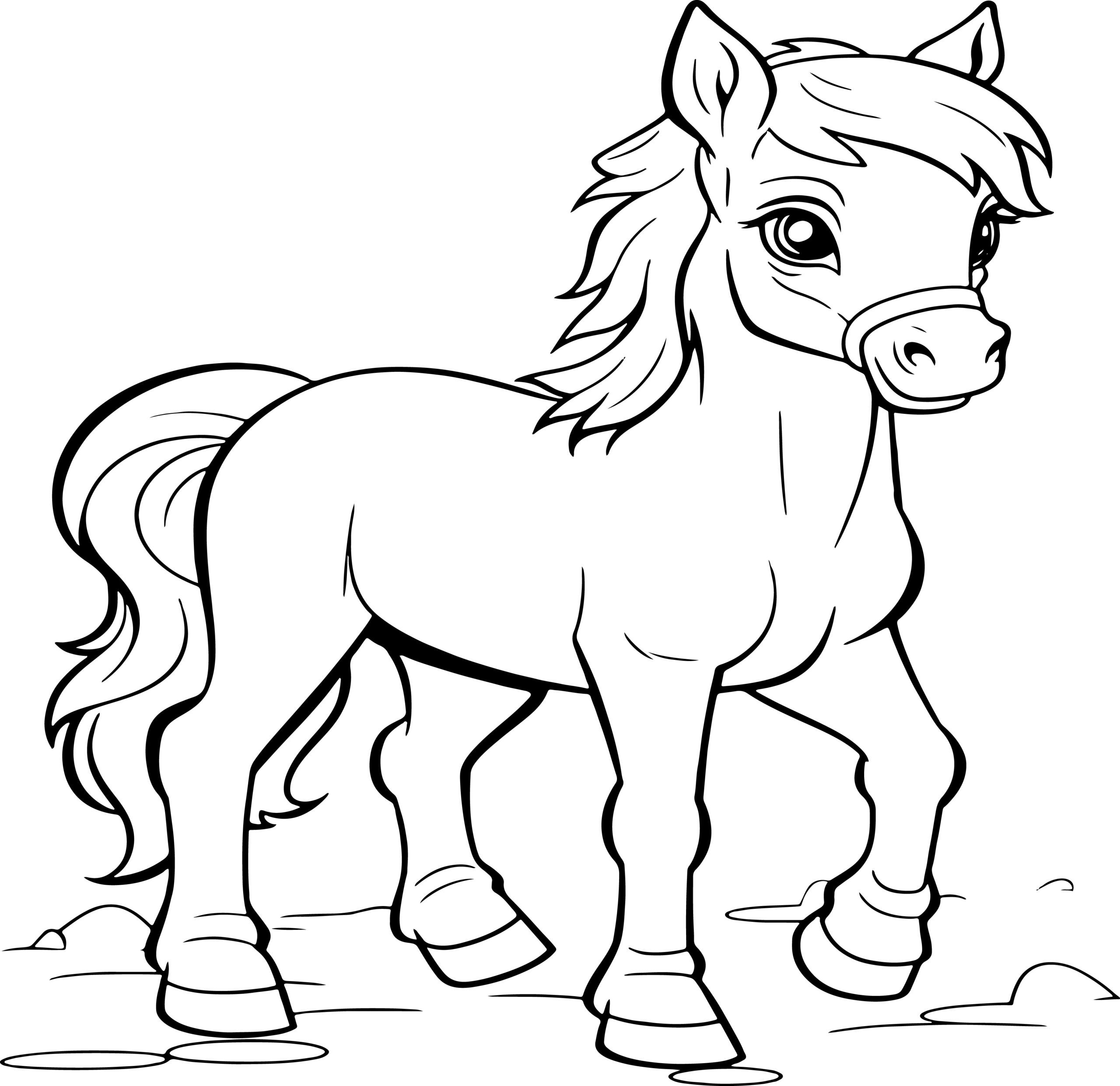 Horse coloring book a fun horses and ponies beautiful colouring pages made by teachers