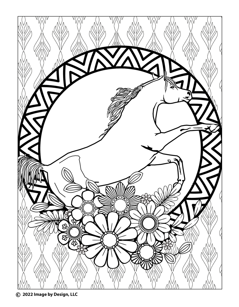 Rearing horse coloring page â tracy mattox authorartist graphic designer