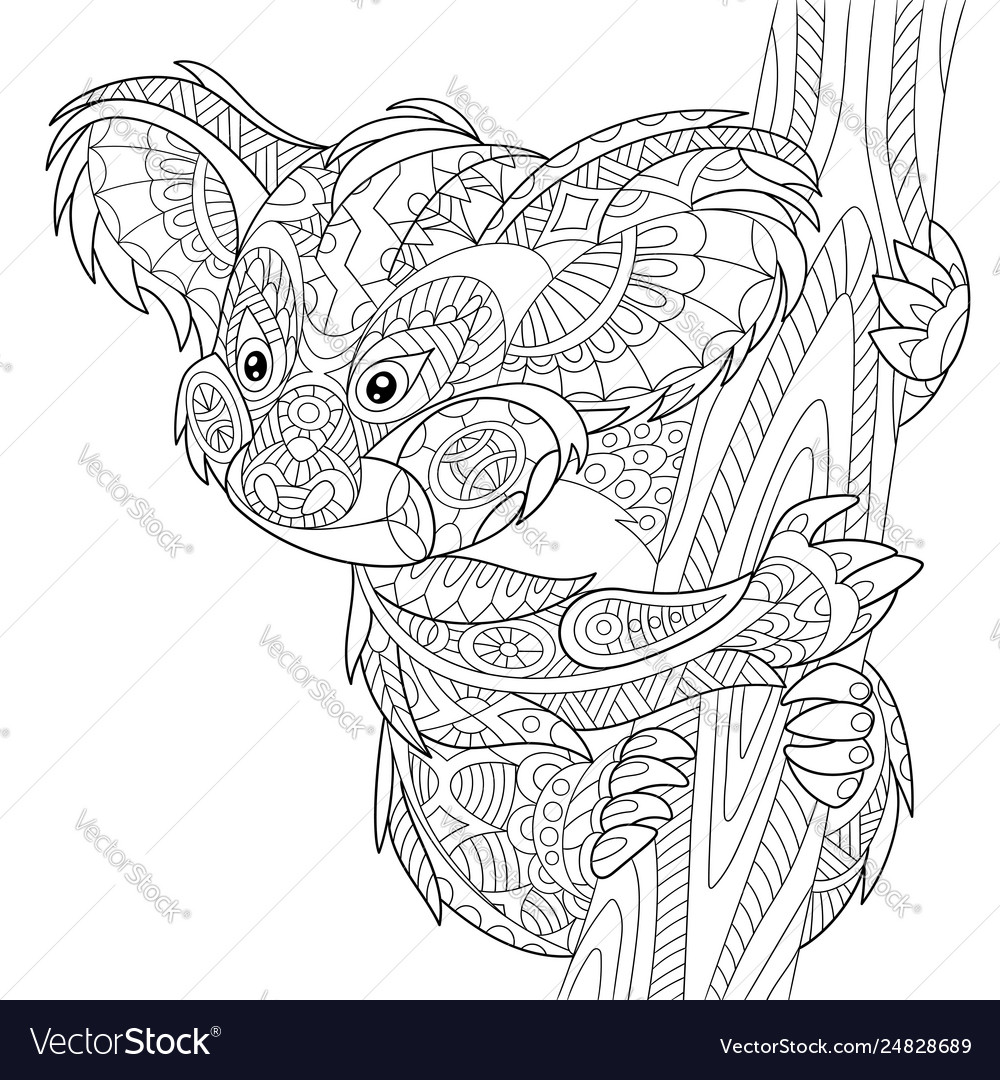 Koala bear adult coloring page royalty free vector image