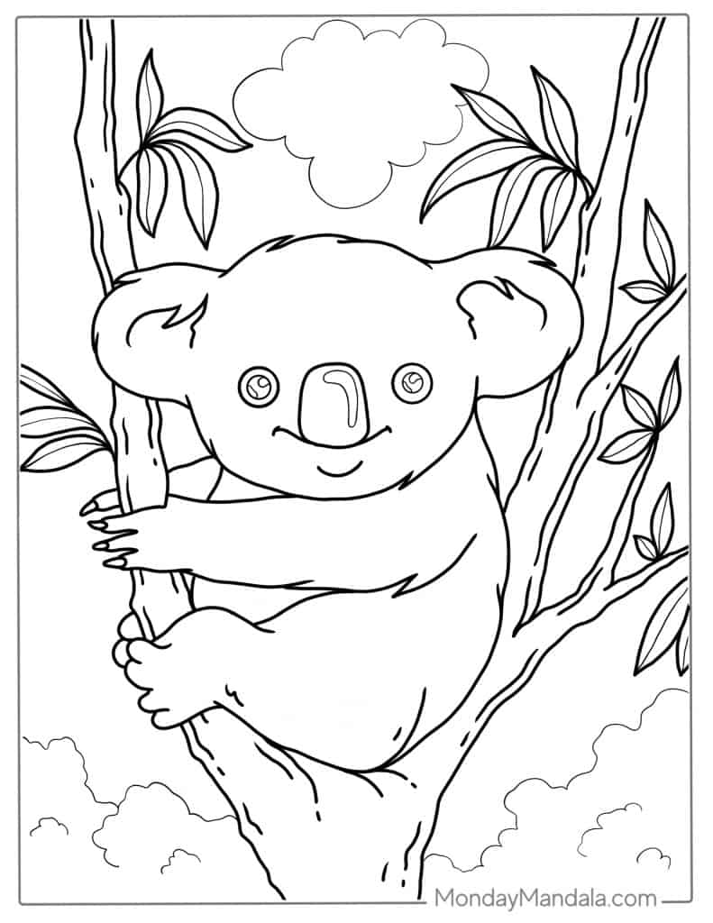 Koala coloring pages free pdf printables