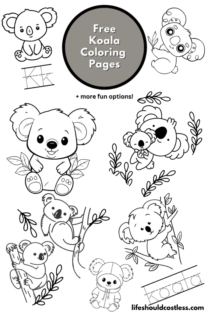 Koala coloring pages free printabe pdf templates