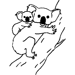 Koala bear coloring sheet