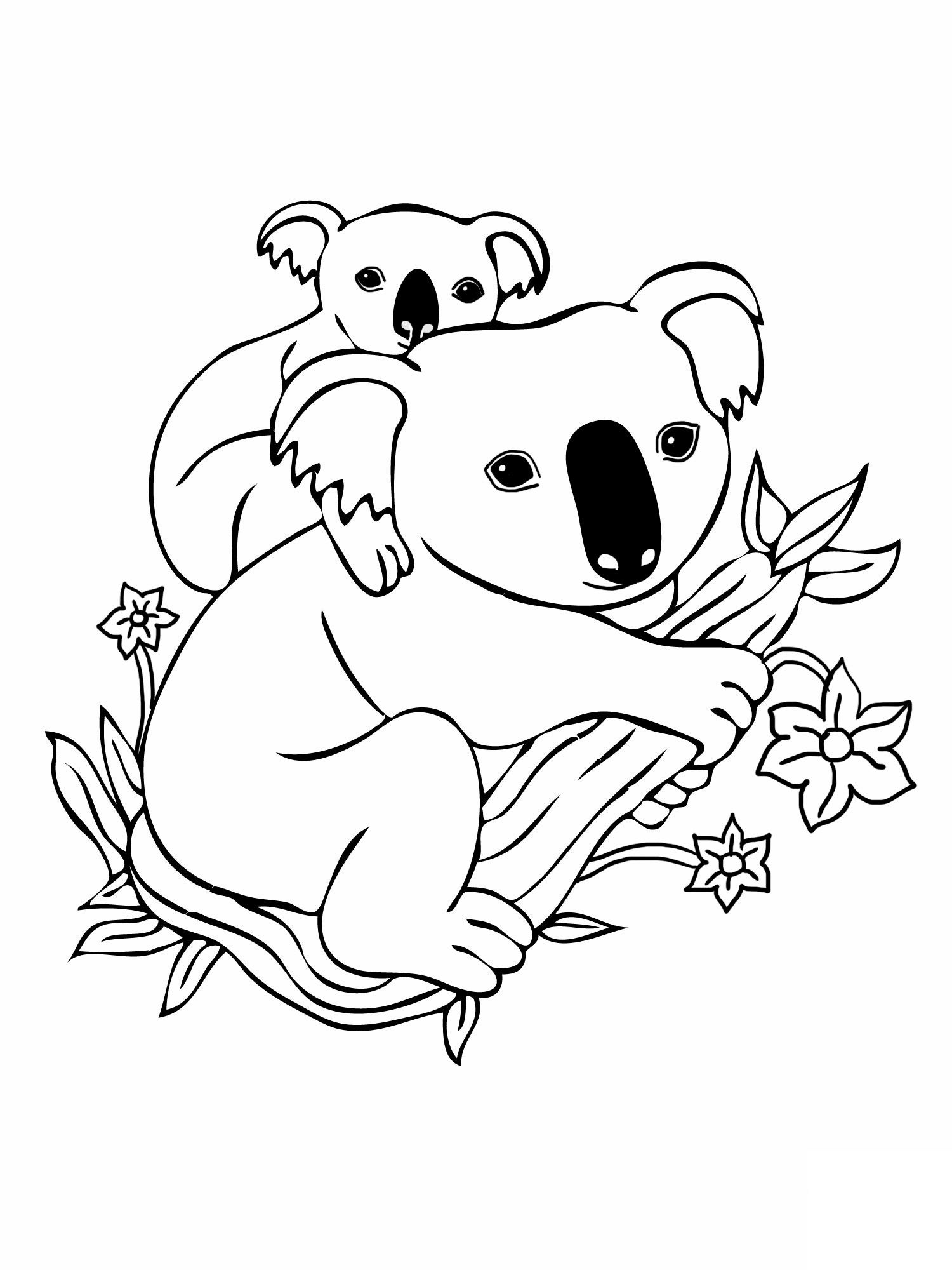 Free printable koala coloring pages for kids bear coloring pages cute coloring pages cartoon coloring pages