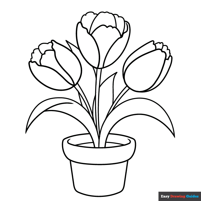 Tulips in a pot coloring page easy drawing guides
