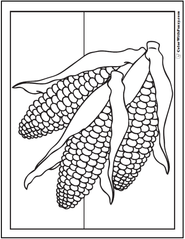 Corn coloring pages three ears summer or fall