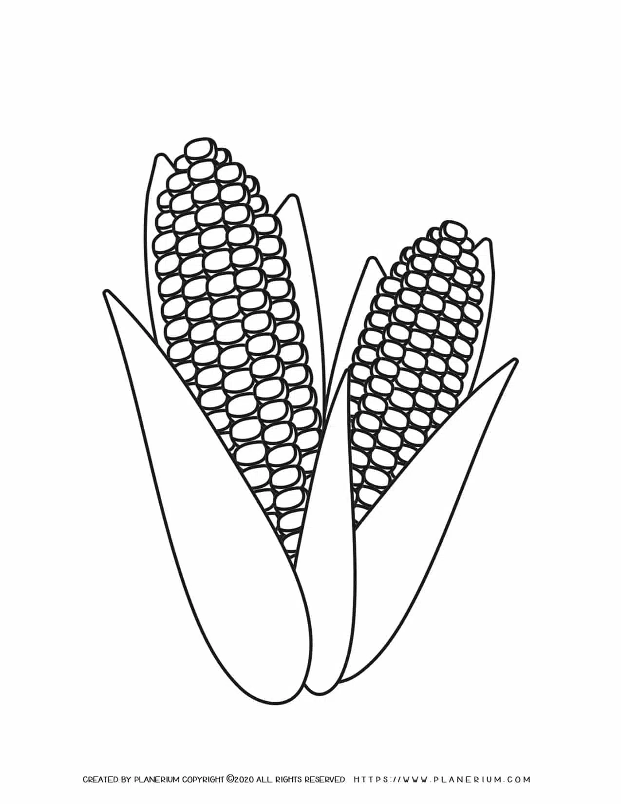 Corn coloring page free printable