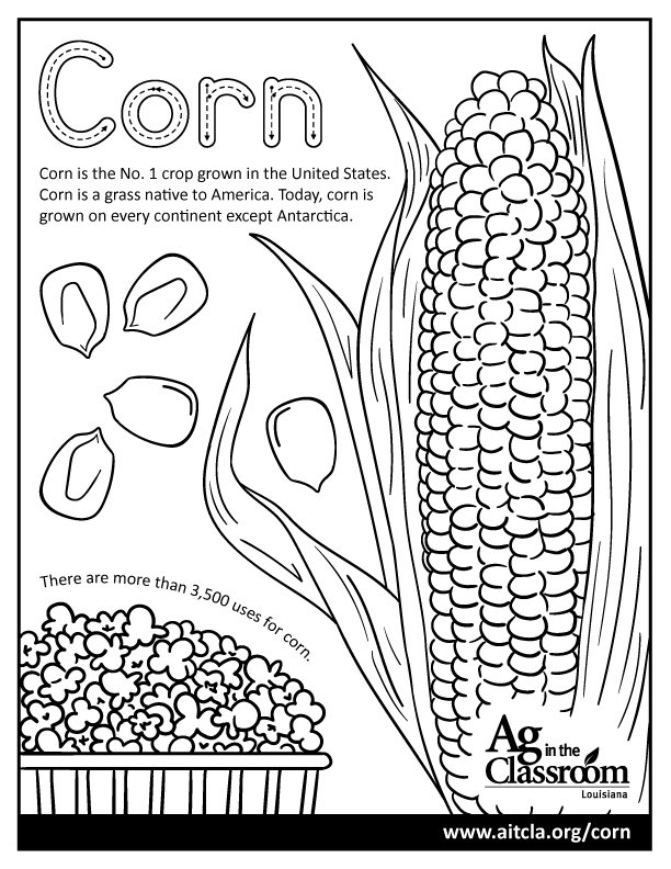 Commodity coloring â louisiana ag in the classroom