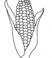 Top corn coloring pages for your little ones coloring pages