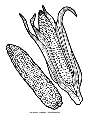 Corn coloring page â free printable pdf from