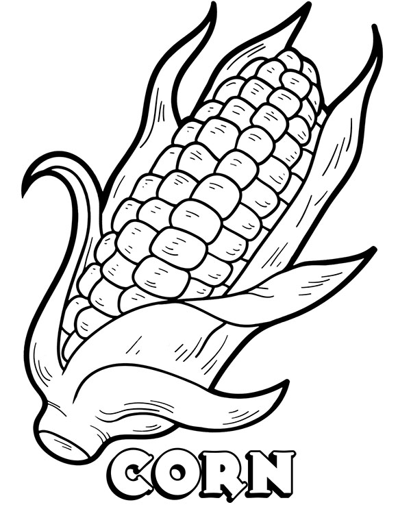 Corn on the cob coloring page