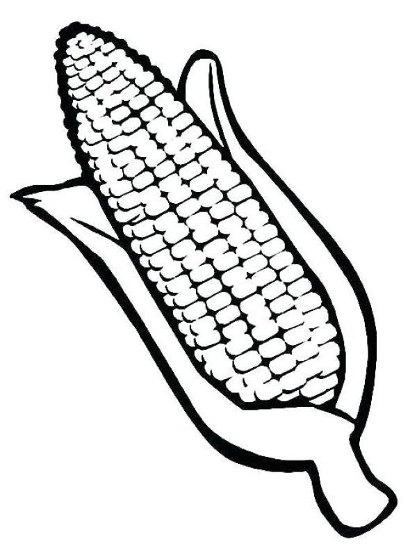 Corn coloring pages printable pdf