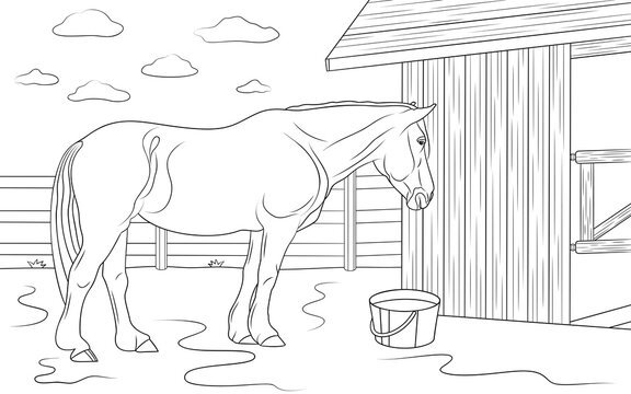 Horse coloring page images â browse photos vectors and video