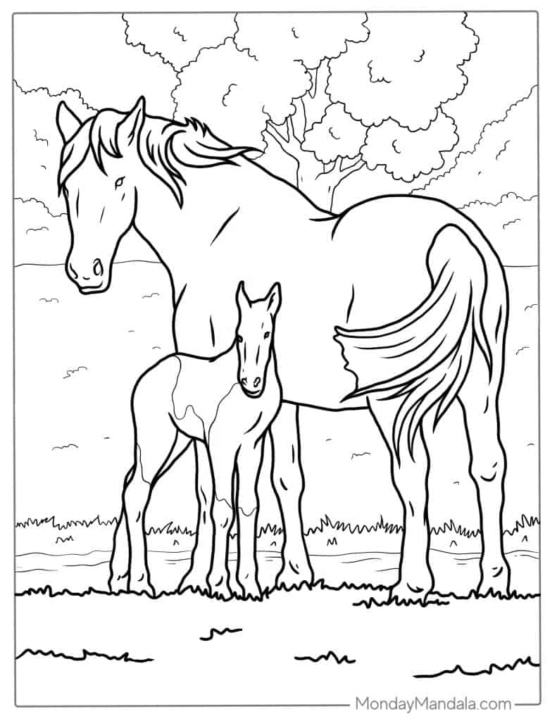 Horse coloring pages free pdf printables