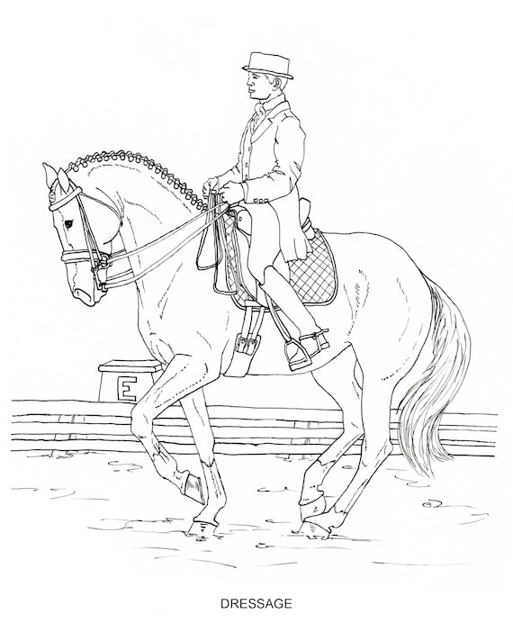 Printable coloring pages disciplines and jobs for horses pages of hand drawn horse illustrations