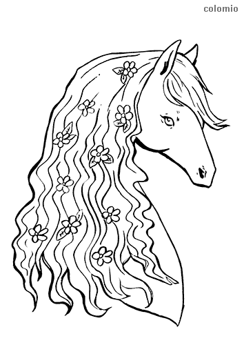 Horses coloring pages free printable horse coloring sheets