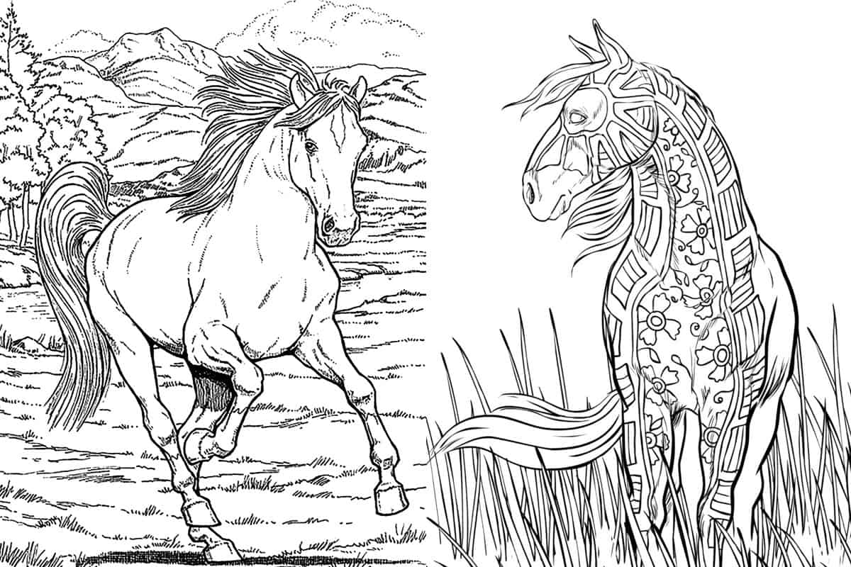 Free horse coloring pages for adults kids