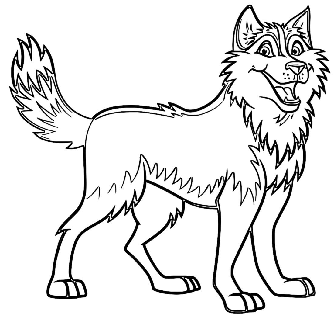 Husky coloring pages