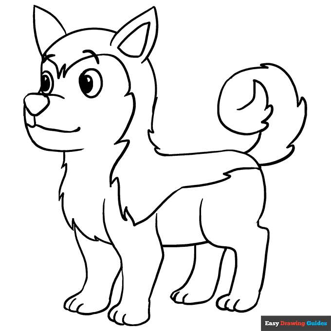 Husky coloring page easy drawing guides