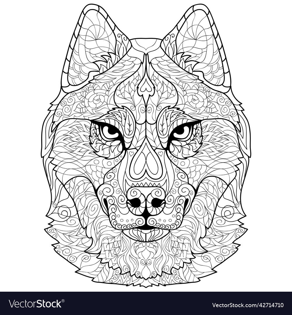 Husky coloring book contour image of a dog vector image