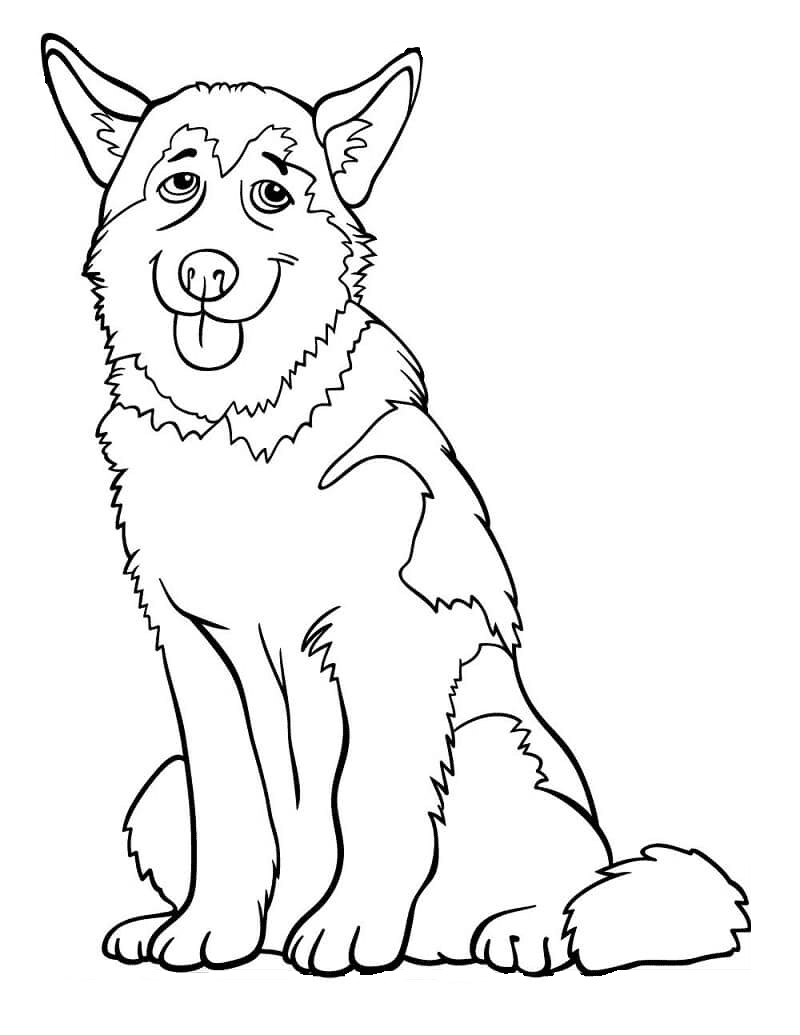 Husky coloring pages printable for free download