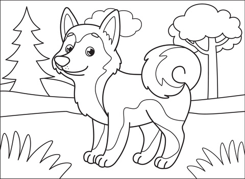 Husky coloring page free printable coloring pages