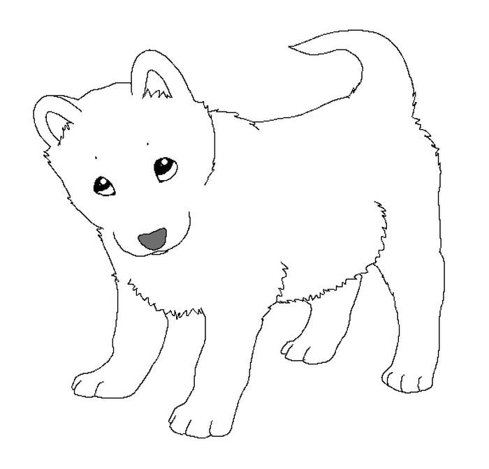Husky coloring pages pdf