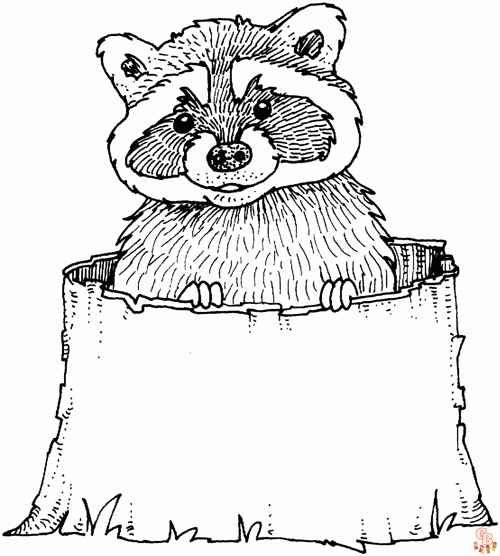 Enjoy free and printable raccoon coloring pages on