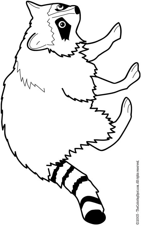 Raccoon coloring page audio stories for kids free coloring pages colouring printables