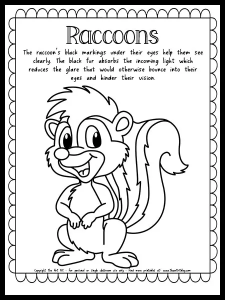 Raccoon coloring page with fun fact free printable â the art kit
