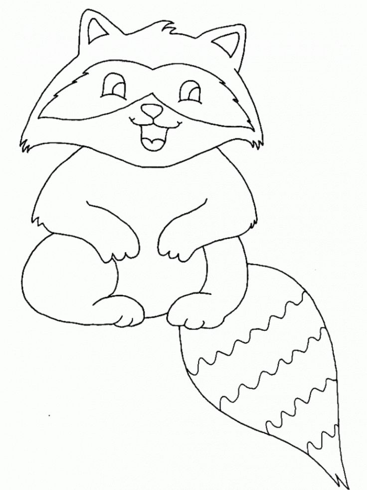 Free printable raccoon coloring pages for kids animal coloring pages pet raccoon coloring pages for kids