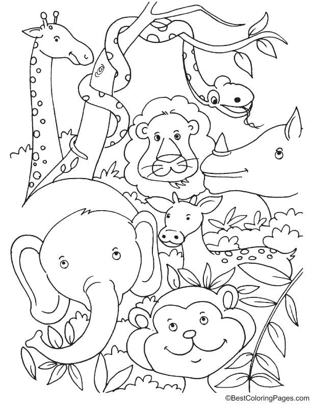 Tropical rainforest animals coloring page jungle coloring pages animal coloring pages rainforest animals