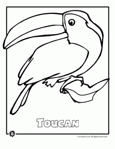 Endangered animals coloring pages animals from north america the rainforest the ocean woo jr kids activities childrens publishing