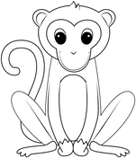 Rainforest animals coloring pages free printable pictures