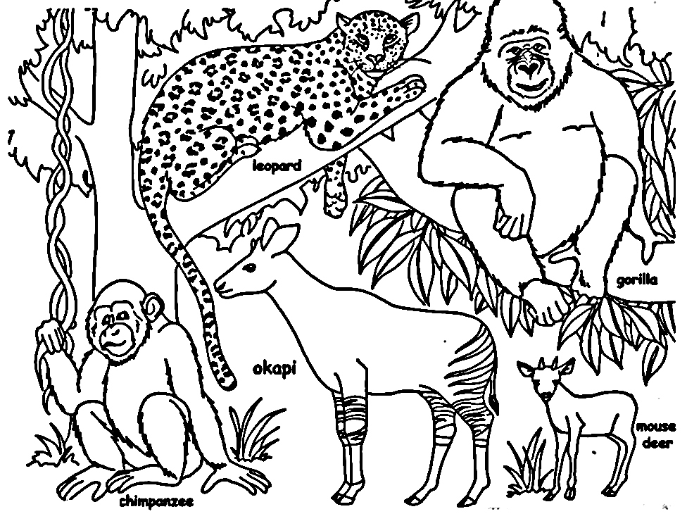 Jungle coloring pages printable for free download